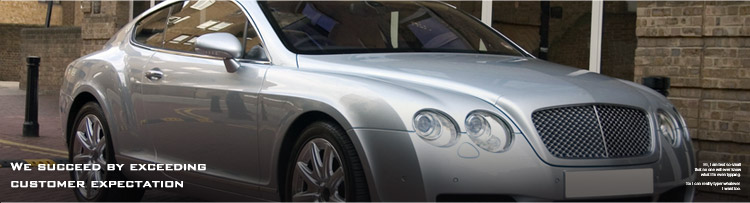 Mint Motors header